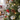Close-up of frosted tips, red berries, a pine cone and warm white lights