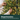 Hands shaping a hinged branch of the pre-lit Christmas tree