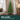 Slim profile: a tree for corners and smaller rooms