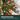 Hands shaping a hinged branch of the frosted Christmas tree
