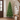 Slim green Christmas tree in an entryway corner